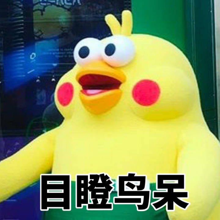鹦鹉兄弟表情包43-