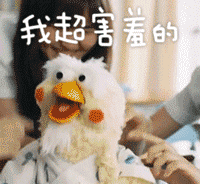 鹦鹉兄弟表情包56-