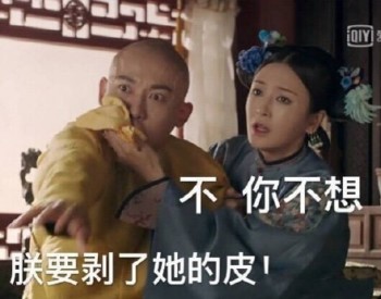 延禧攻略表情包3 -