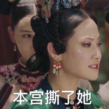 延禧攻略表情包5 -