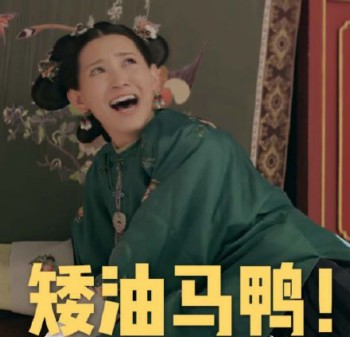 延禧攻略表情包19-