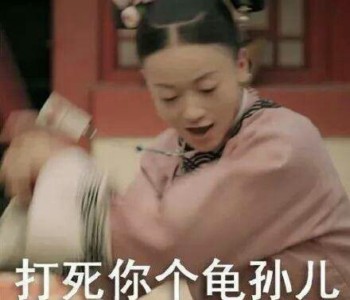 延禧攻略表情包40-