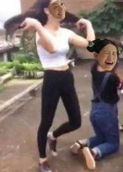 延禧攻略表情包47