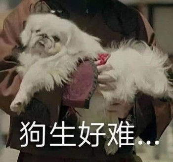 延禧攻略表情包62-