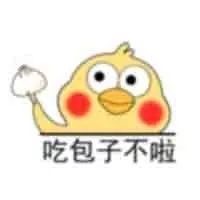 鹦鹉卡通表情包1-1 -