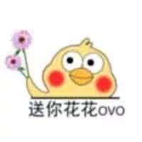 鹦鹉卡通表情包1-7 -
