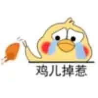 鹦鹉卡通表情包1-5 -