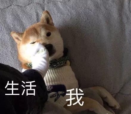 我和生活表情包12-