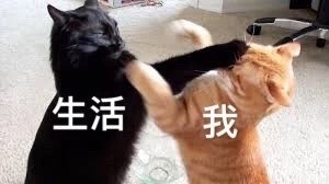我和生活表情包16-