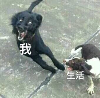 我和生活表情包17-