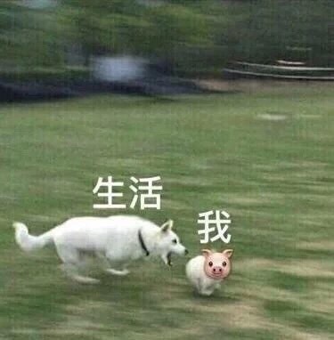 我和生活表情包21-