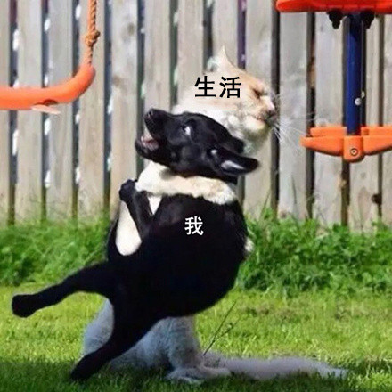 我和生活表情包6 -