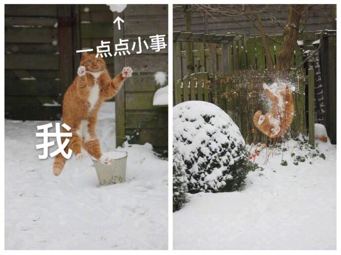 我和生活表情包13-