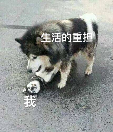 我和生活表情包15-