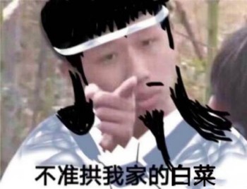 魔道祖师王境泽表情包5 -