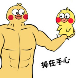 鹦鹉大哥和小老弟表情包10