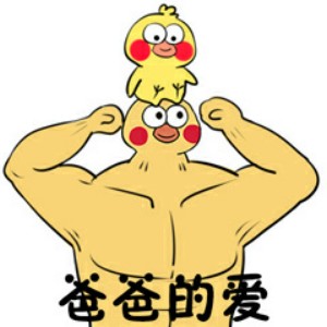 鹦鹉大哥和小老弟表情包12