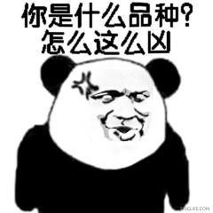 熊猫头魔性动图表情包31-