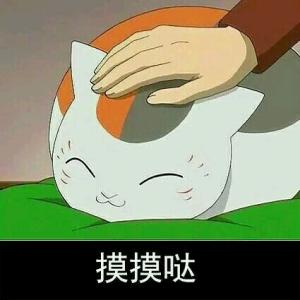 娘口三三表情包19-