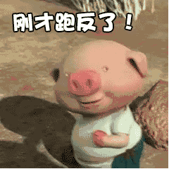 跑猪动态表情包1-