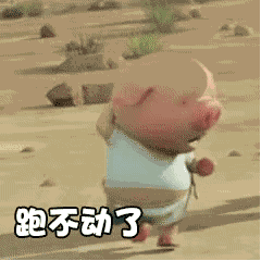 跑猪动态表情包4-