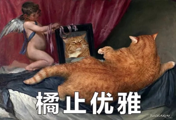 橘猫名画表情包11-