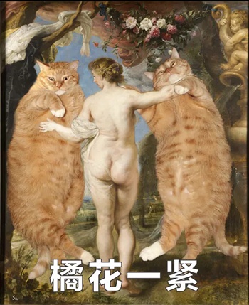 橘猫名画表情包14-
