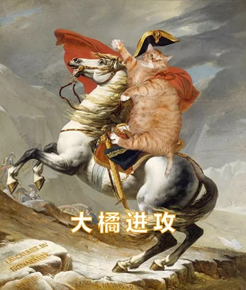 橘猫名画表情包27-