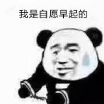 都是我自愿的表情包6