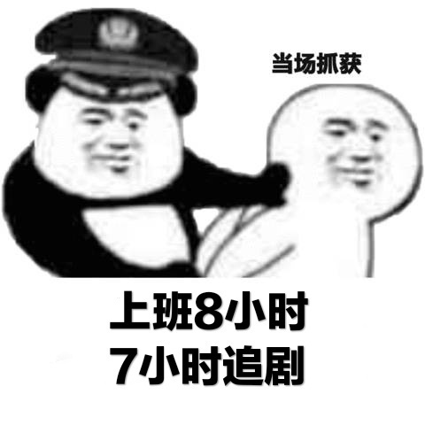 当场抓获表情包3-