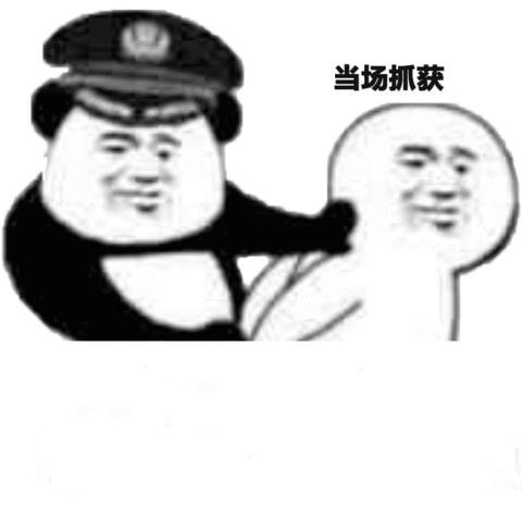 当场抓获表情包4-
