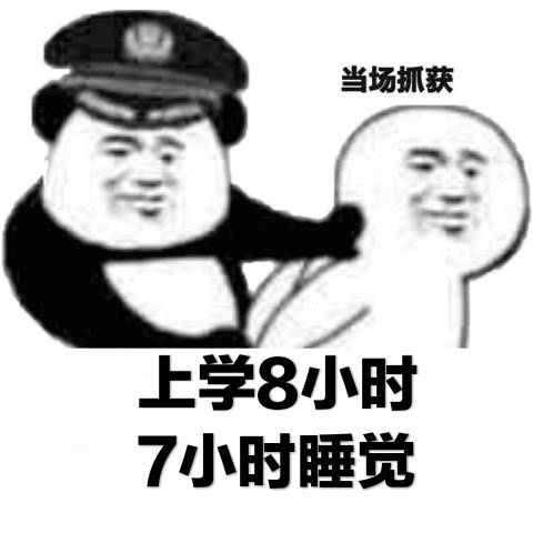 当场抓获表情包5-