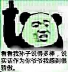 熊猫骄傲表情包1 -