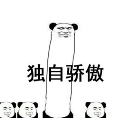 熊猫骄傲表情包8 -