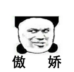 熊猫骄傲表情包9 -