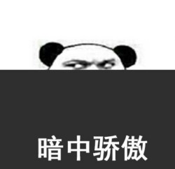 熊猫骄傲表情包10-