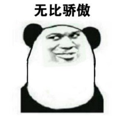 熊猫骄傲表情包13-
