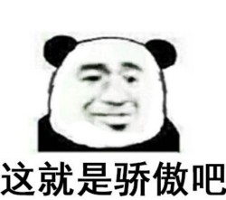 熊猫骄傲表情包11-
