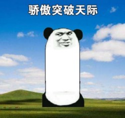 熊猫骄傲表情包14-