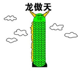 熊猫骄傲表情包18-