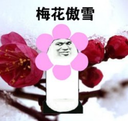 熊猫骄傲表情包17-