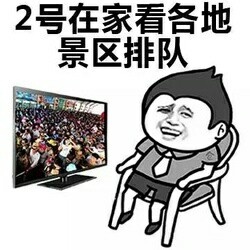 国庆节表情包-2号在家看各个景区排队