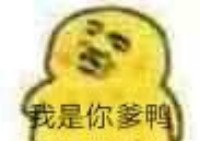 嚣张鸭表情包-我是你爹鸭