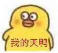 嚣张鸭表情包-我的天鸭-