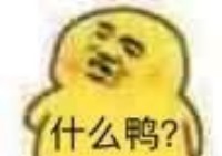 嚣张鸭表情包-什么鸭？-