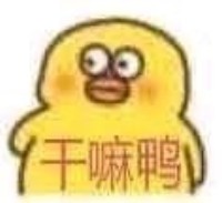 嚣张鸭表情包-干嘛鸭-