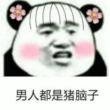 呵男人表情包-男人都是猪脑子-