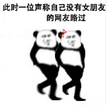 路过表情包-此时一位声称没有女朋友的网友路过
