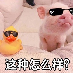 嘻哈小猪表情包-这种怎么样？-