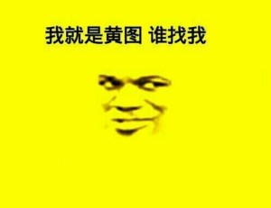 黄图表情包-我就是黄图 谁找我